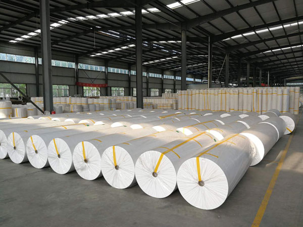 昭通狭缝式涤纶纺粘无纺布